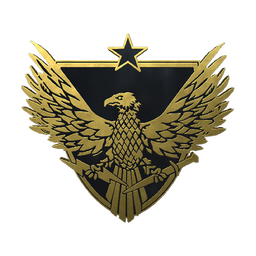 Brigadier General genuine pin