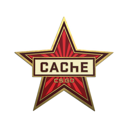 Cache genuine pin
