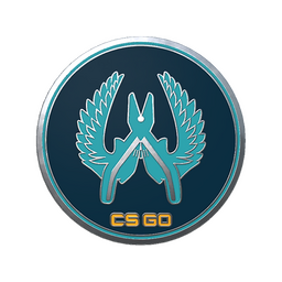 Guardian genuine pin