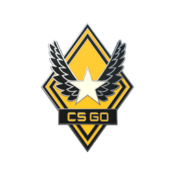 Victory genuine pin